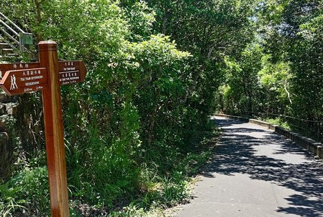 Again, follow the 'Tai Tam Road' sign