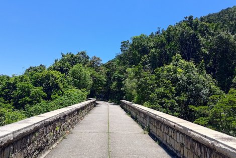 Follow Tai Tam Reservoir Road