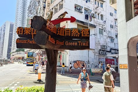 Follow the 'Mount Parker Road Green Trail' sign to the right