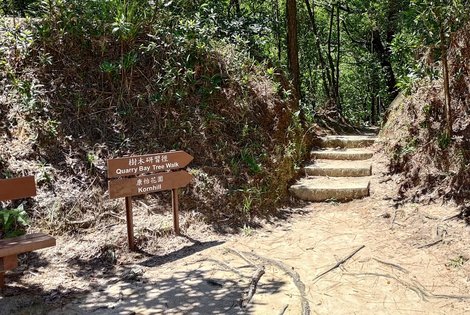 Follow the 'Quarry Bay Tree Walk' sign