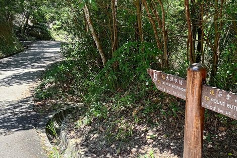 Follow the 'To Tai Tam Reservoir' sign