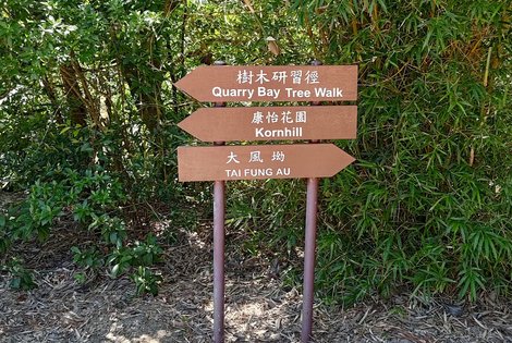 Go toward Tai Fung Au