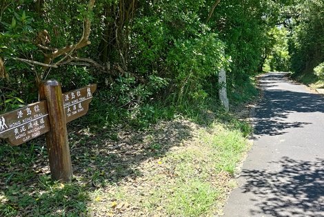 Keep heading towards Tai Tam Road