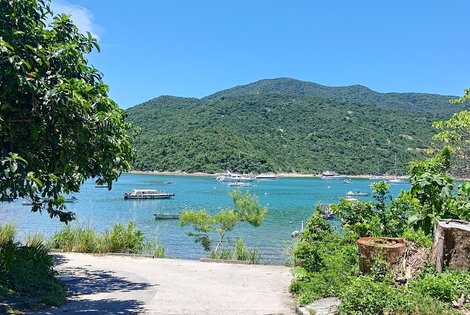 Now you can take this path