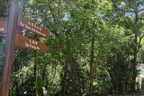 On Mount Parker Road follow the 'Tai Tam Tuk Reservoir' sign