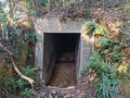 WWII Tunnel Hong Kong Hike