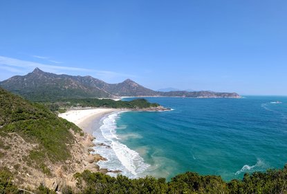 ham tin wan