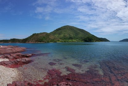 pink beach